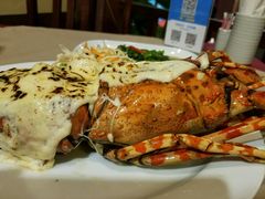 -Red Lobster