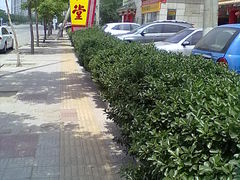 tr (3)-同仁堂(西二旗店)