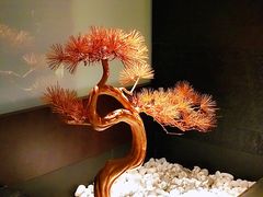 -璞御·海鲜·雪花牛肉局(宾水西道店)
