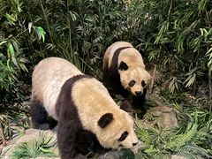 -长江文明馆