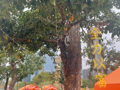 -文华公园(禅城区)