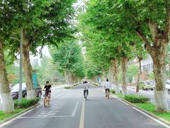 -四川大学(望江校区)