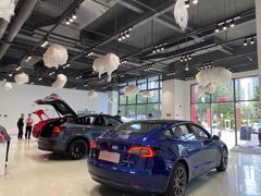 -TESLA 特斯拉(深圳观澜特斯拉直营钣喷中心)