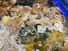 -盒马鲜生(龙德广场店)