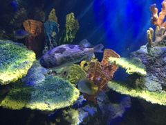 -石林冰雪海洋世界