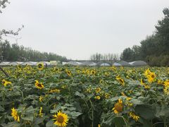 -云幽谷旅游区