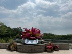 -广州莲花山旅游区