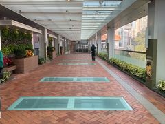 -香港大学