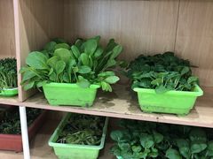 -东椰·海南椰子鸡火锅(朝阳门店)