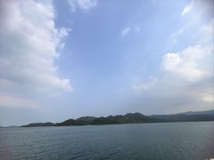 -Reset Coffee 与海咖啡