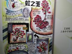 -上海昆虫博物馆