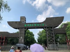 -溱湖国家湿地公园