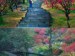 -桃花涧