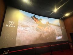 -卢米埃影城(合生广场IMAX店)