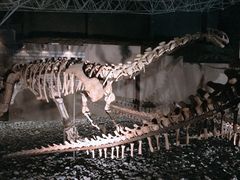 -世界恐龙谷景区