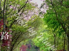 -上海吴淞炮台湾国家湿地公园