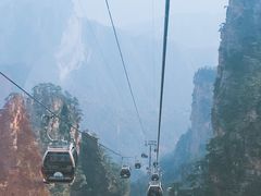 -猪脑壳凉面(武陵源店)