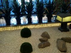 -天津东丽湖恒大酒店-温泉自助餐厅