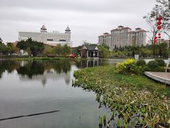 -映月湖公园