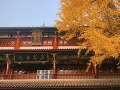 -青羊宫