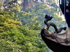 -潭柘寺景区