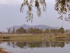 -桂溪生态公园