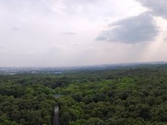 -灵谷景区