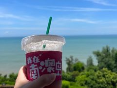 -南澳岛打卡果汁冰公司