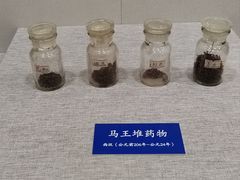 -北京中医药大学-中医药博物馆