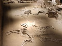 -洛阳周王城天子驾六博物馆