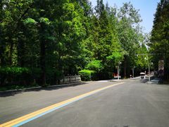 -日照海滨国家森林公园