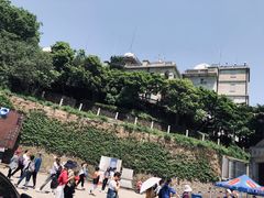 -上海佘山国家森林公园西佘山园