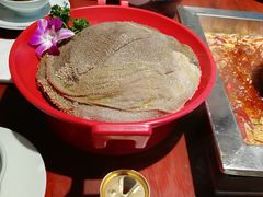 -二荆条·蜀鲜汇城市森林火锅