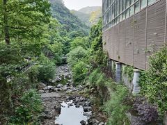 -宁海森林温泉