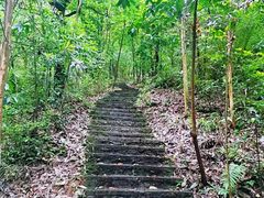 -中国科学院西双版纳热带植物园