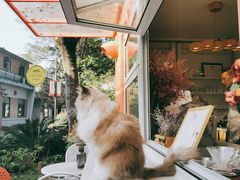 -灯塔咖啡馆BOOK·Coffee Shop