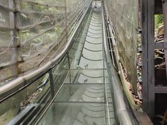 -南丹山森林王国