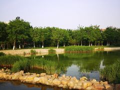 -绿岛公园(滨海新区)