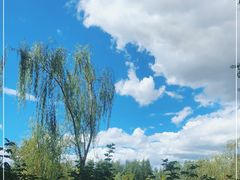 -东郊湿地公园