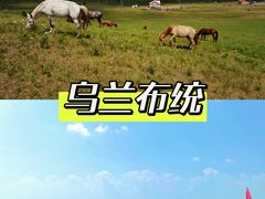 -丰宁坝上草原