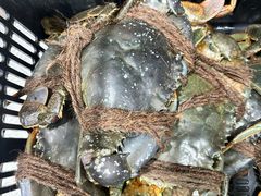 -無招牌海鮮(芽笼店)