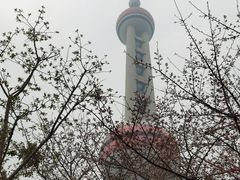 -东方明珠广播电视塔