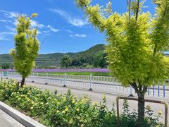 -舟山希尔顿酒店