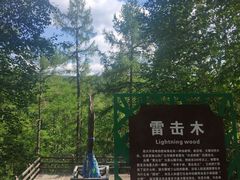 -莫尔道嘎国家森林公园