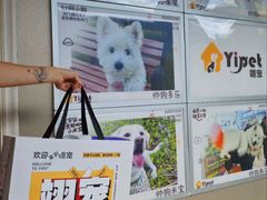 -翊宠yipet猫狗购宠庄园犬舍•猫舍