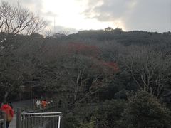 -普陀山风景名胜区-法雨禅寺