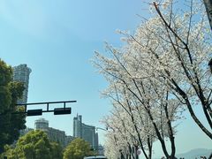 -蓝山咖啡馆(白马湖店)