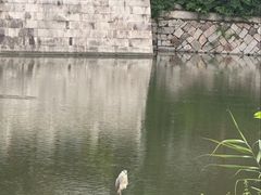 -乌山风景区
