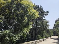 -北京西山国家森林公园