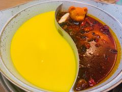 -青瓷火锅料理(西单大悦城店)